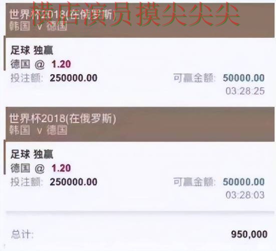 世界杯赛事中心期间热门世界杯投注平台盘点分析与访问方式分析 世界杯赛事中心期间热门世界杯投注平台盘点分析与访问方式分析